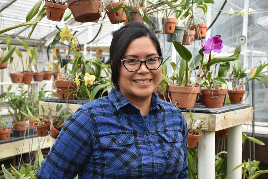 Cranbrook House & Gardens Greenhouse Volunteer