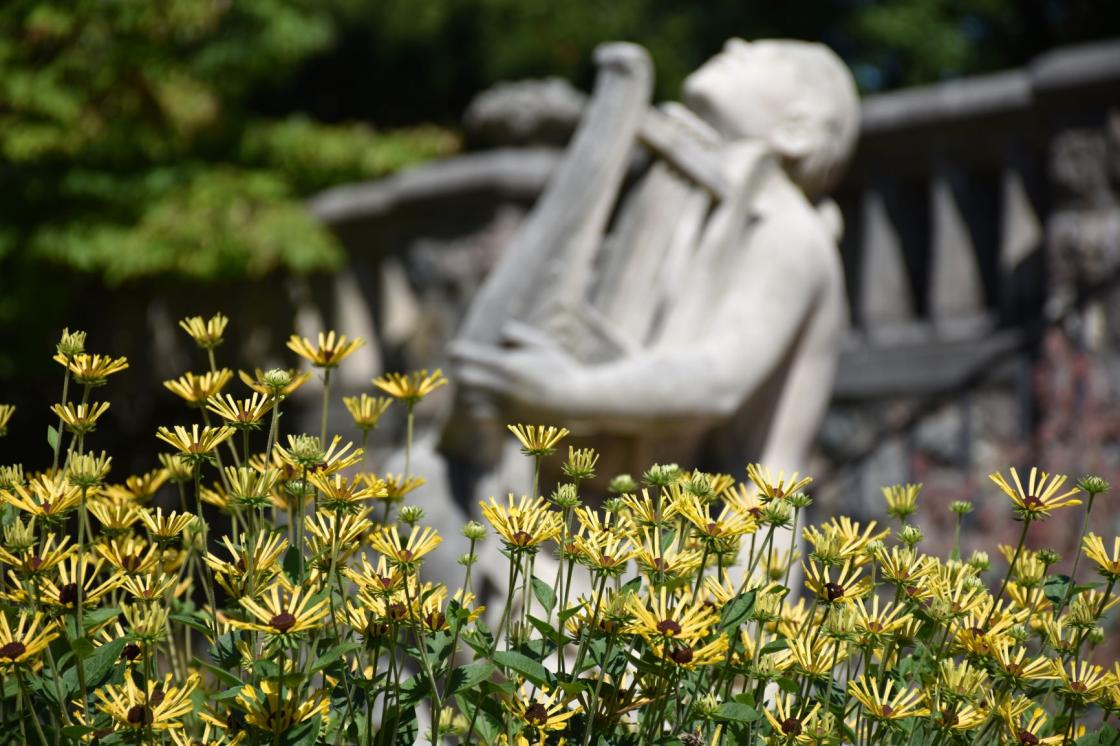 Photograph of flowers and Harmony at Cranbrook Gardens.