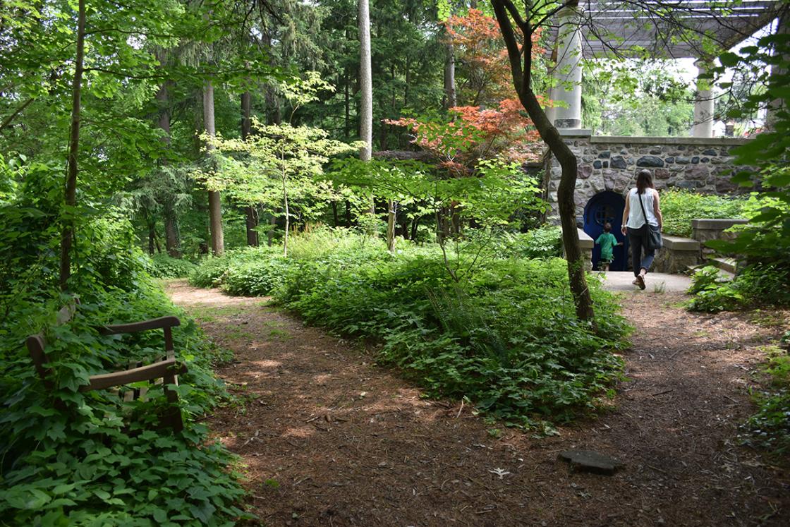 Photograph of the Native Plant Garden.