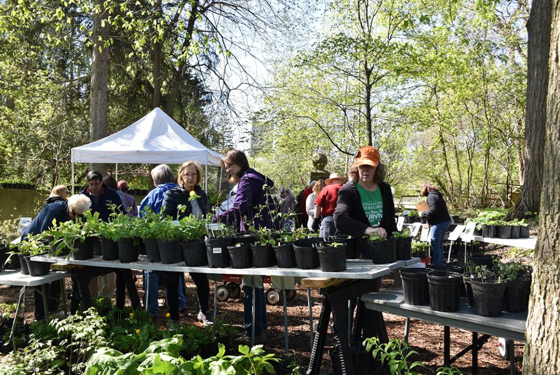 Photo of the Spring Plant Sale at Cranbrook House & Gardens.